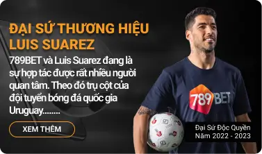 đại sứ thương hiệu 789bet